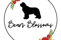 Bears Blossoms Logo