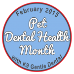 Teeth Cleaning for Dogs