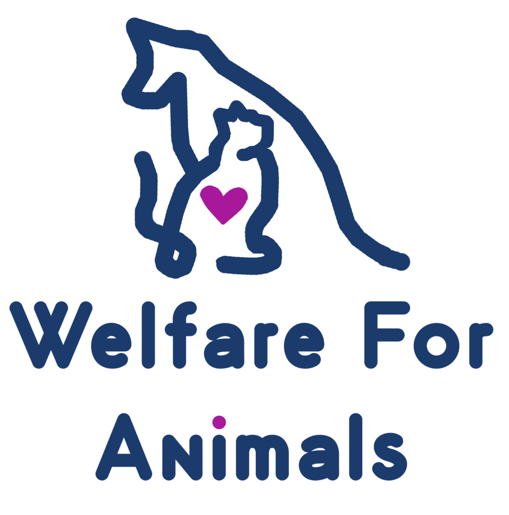 Welfare for Animals