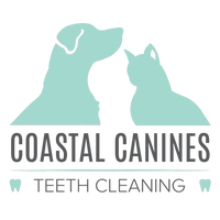 coastalcaninesteethcleaning